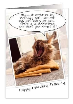 Birthday Card February Cat
