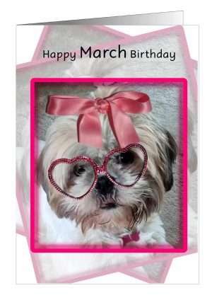 Birthday Card March Dog