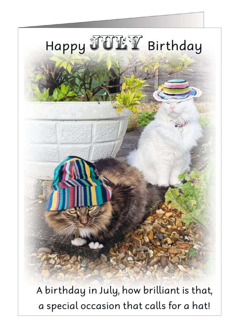 Monthly cat birthday card from Pet Cards UK Monthly cat birthday card from Pet Cards UK