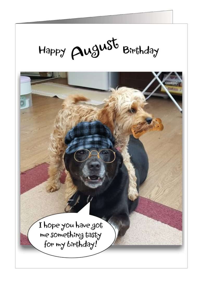 Monthly dog birthday card from Pet Cards UK