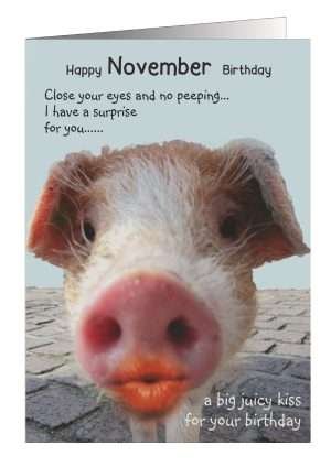 Birthday Card November Pig