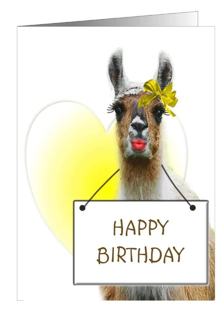 Llama Birthday Greetings Card