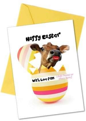 Easter Cow Greetings Cards