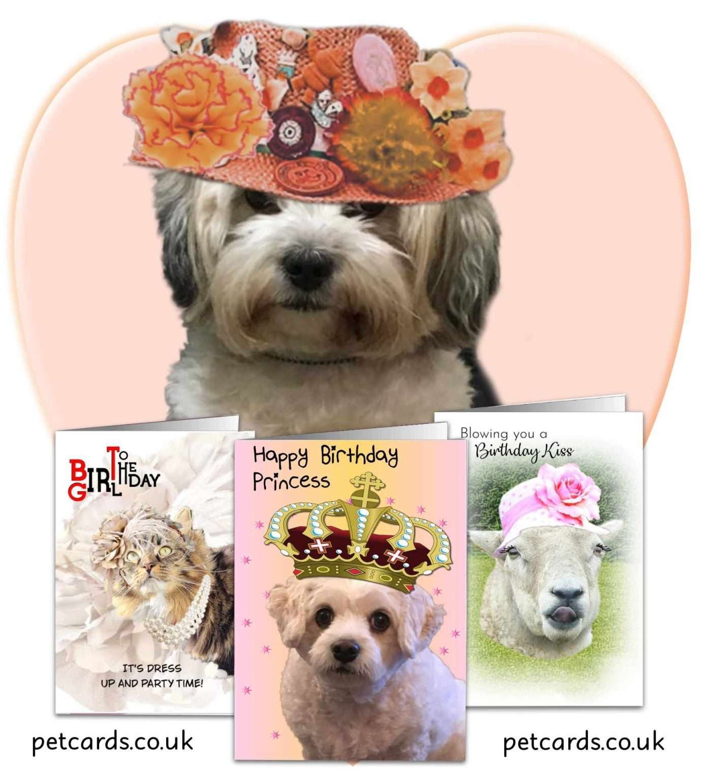 Pet and Animals Greetings Cards