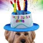 Pet Cards Testimonials