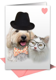 Pet and Animal Greetings Cards UK
