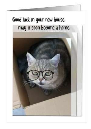 New Home Cat Greetings Card