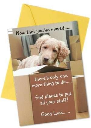 New Home Dog Card by Pet Cards