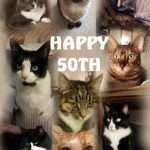 Pet Cards Testimonials