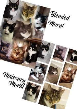 Personalised Pet Cards Template Samples