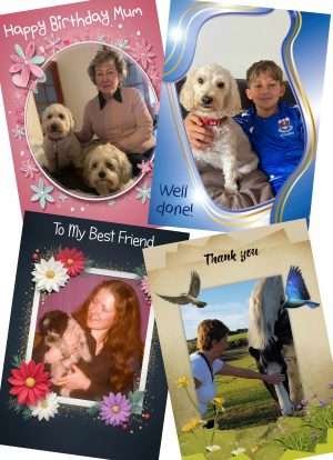 Personalised Pet Cards Template Samples