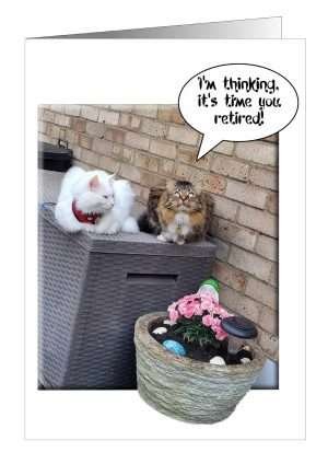 Retirement Cat card from Pet Cards