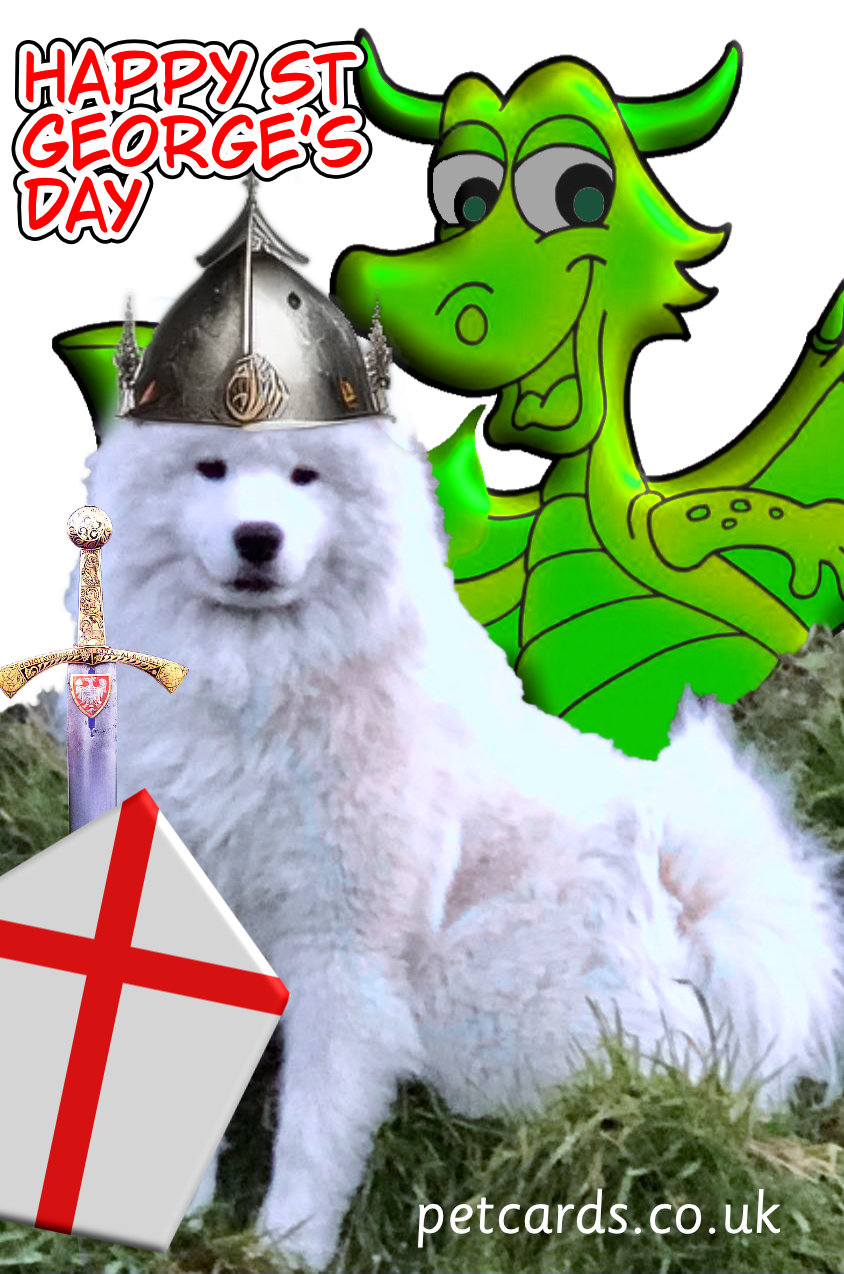 St George's Day Personalised Greetings Card from Pet Cards