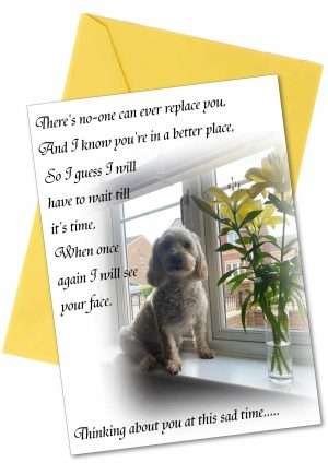 Sympathy Greetings Cards Dog