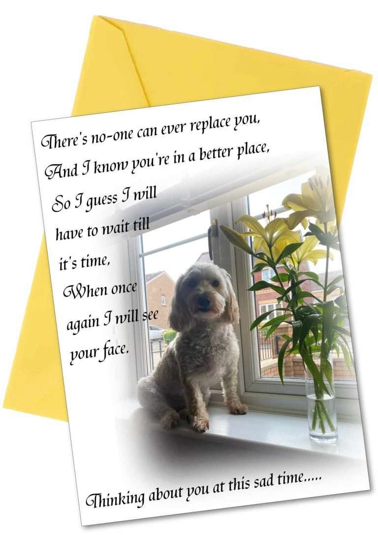 Sympathy Greetings Cards Dog