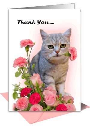 Cat Thank You Card from Pet Cards