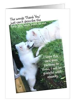 Dog Sympathy Card