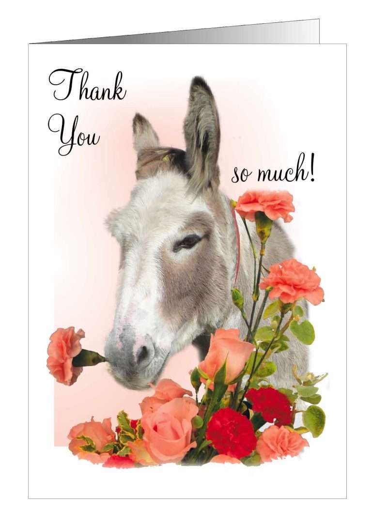 Donkey thank you card from pet Cards
