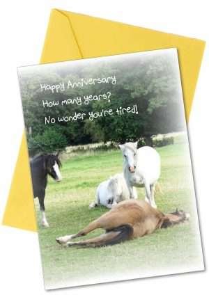 Horse Anniversary Greetings Cards