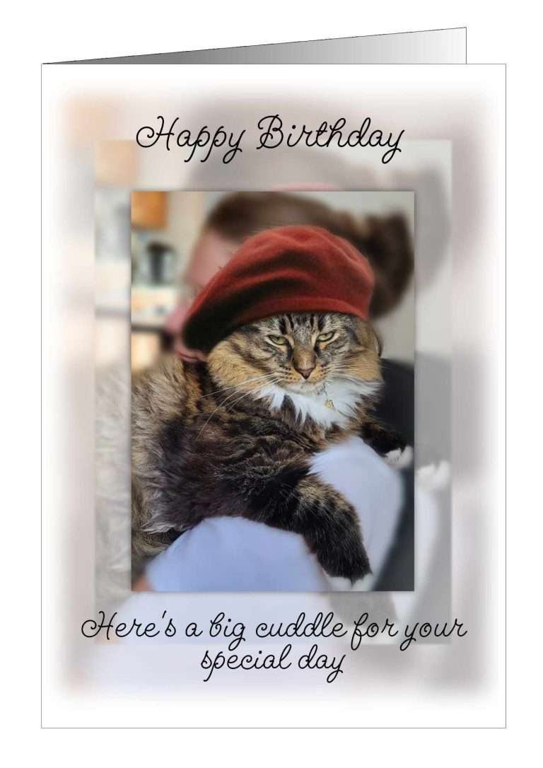 Cat birthday card from Pet Cards Cat birthday card from Pet Cards