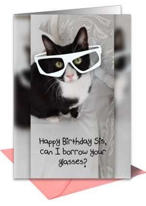 Cat birthday card from Pet Cards