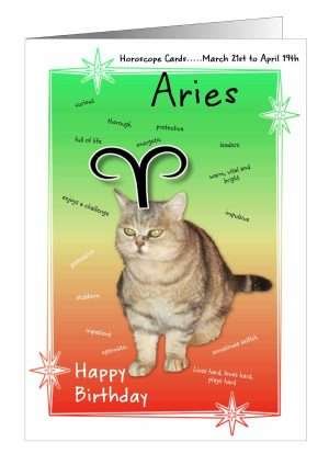 Cat Horoscope Card