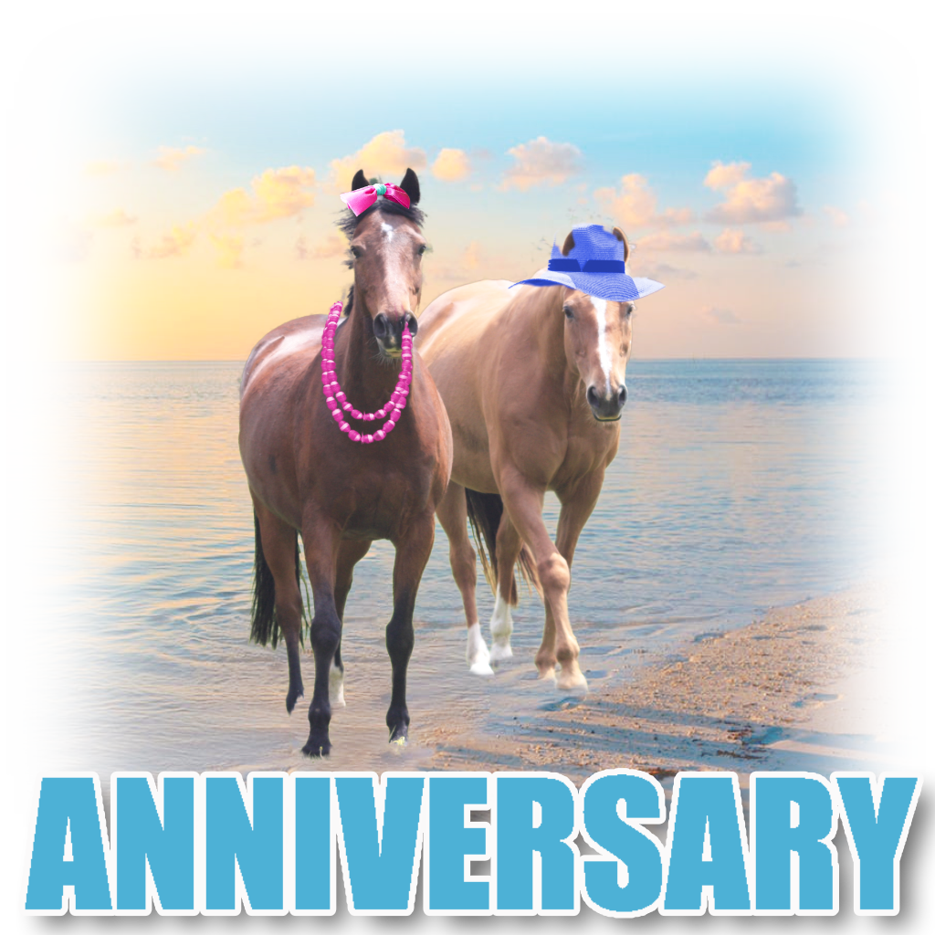 Pet Cards Anniversary