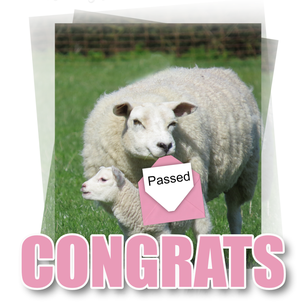 Pet Cards Anniversary