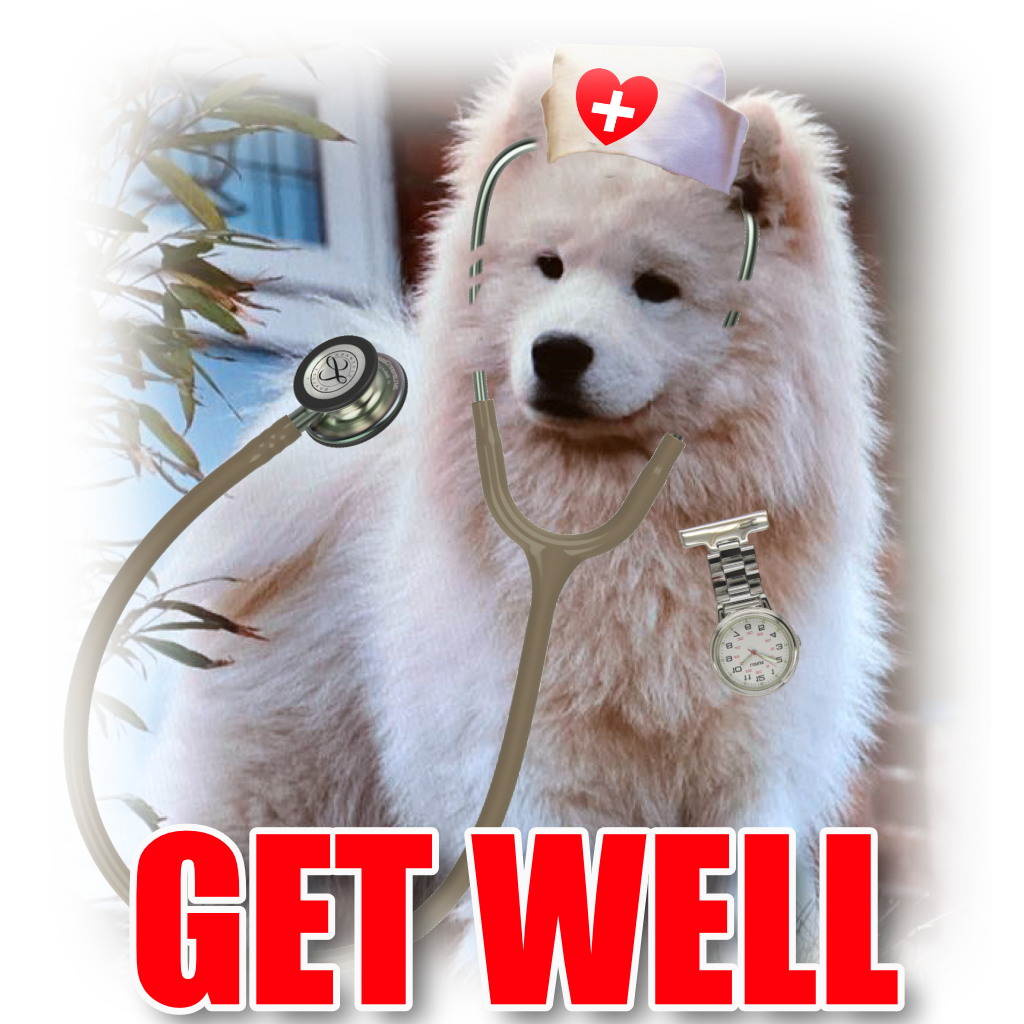 Get Well Cat Greetings Cards