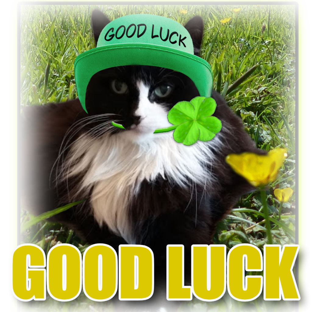 Cat Good Luck