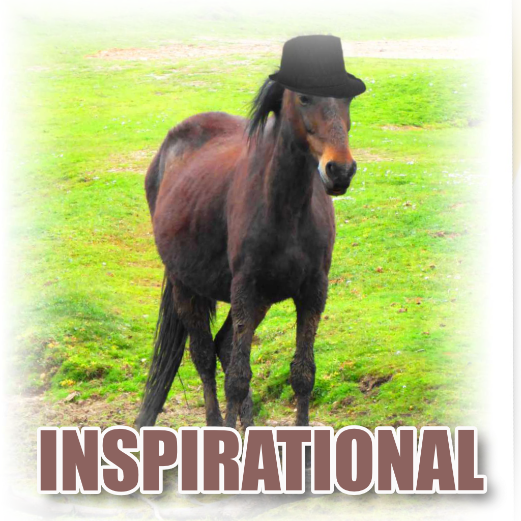 Horse Inspirational Pet Cards
