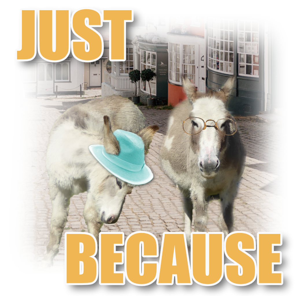 Donkeys Just Becasue Pet Cards