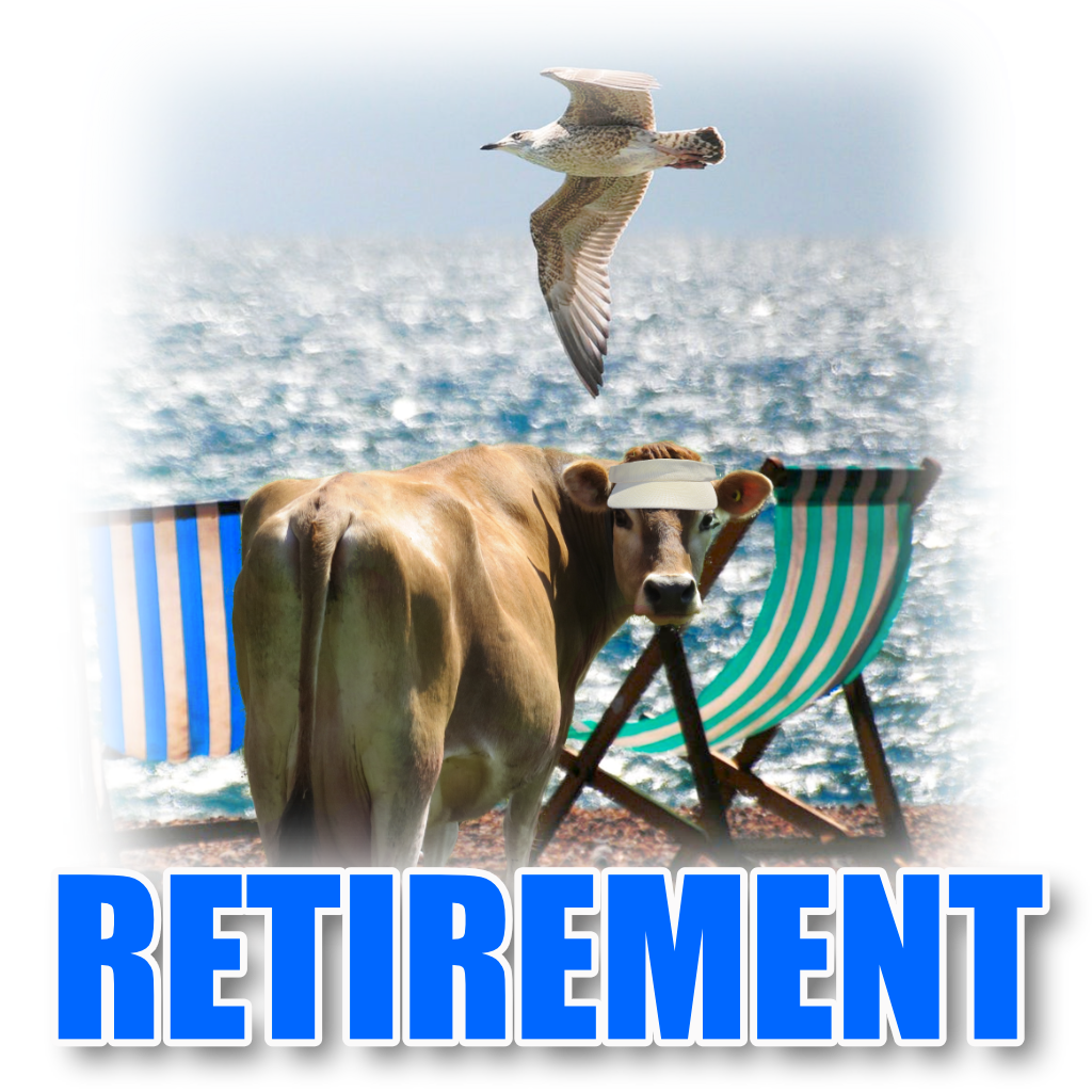 Retirement Pet Cards