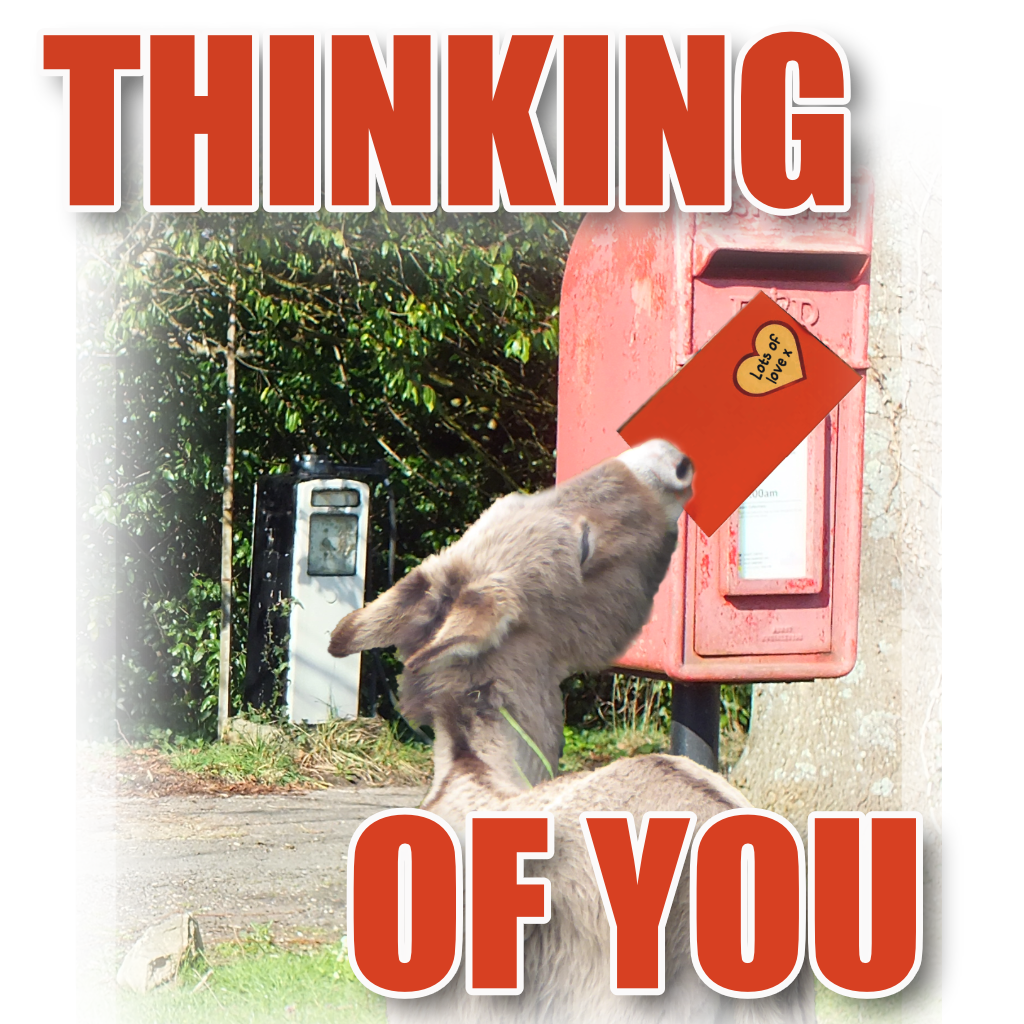 Thinking of You Pet Cards