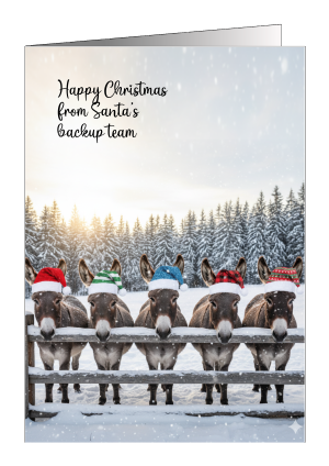 Christmas Card Donkeys - Happy Christmas from Santa