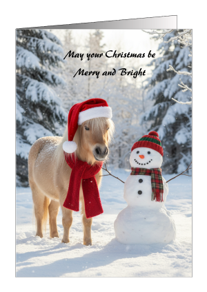 Christmas Card Pony - May Your Christmas Be Merry