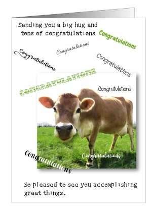Jersey cow congratulations greetings cards