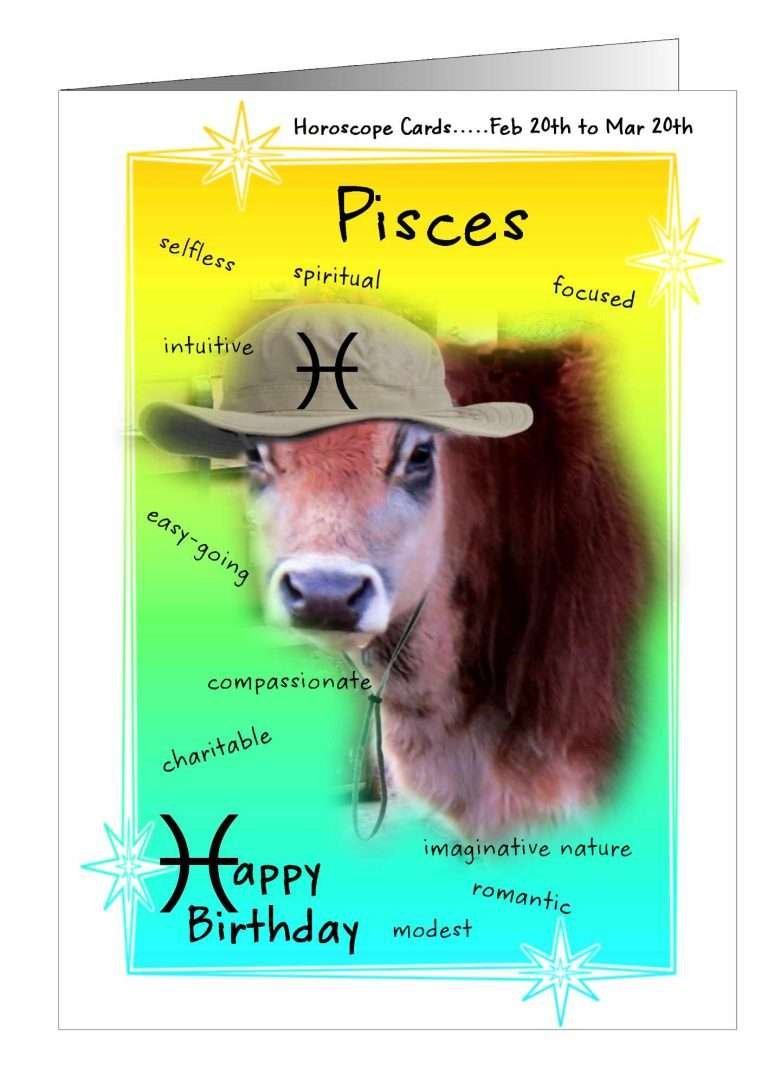 Pet and Animal Greetings Cards UK
