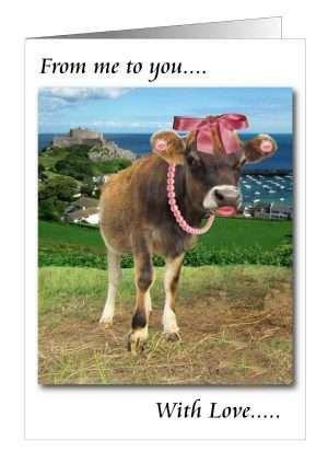 Cow Love Greetings Card