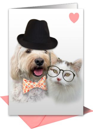 Pet and Animal Greetings Cards UK