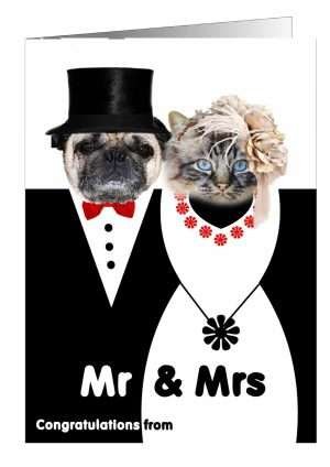 Dog and cat wedding cards