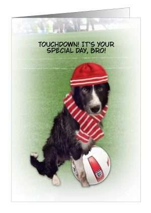 Dog Football Birthday Card from Pet Cards