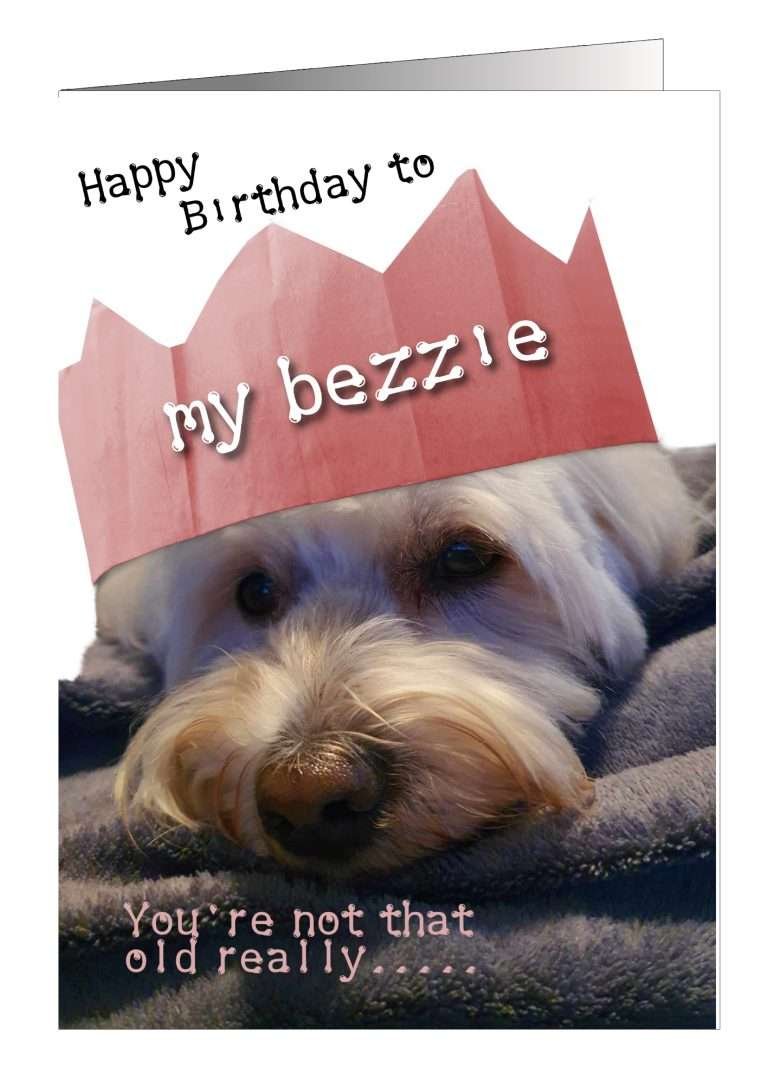 Dog Birthday Card for friend from Pet Cards UK