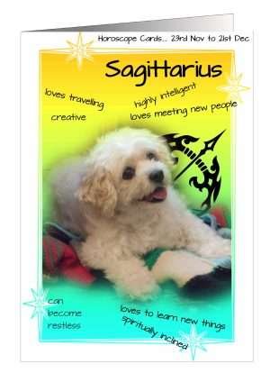 Birthday Horoscope Sagittarius Card Dog