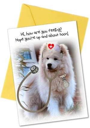 Dog Get Well Card