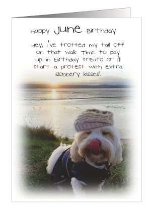 Monthly dog birthday card from Pet Cards UK