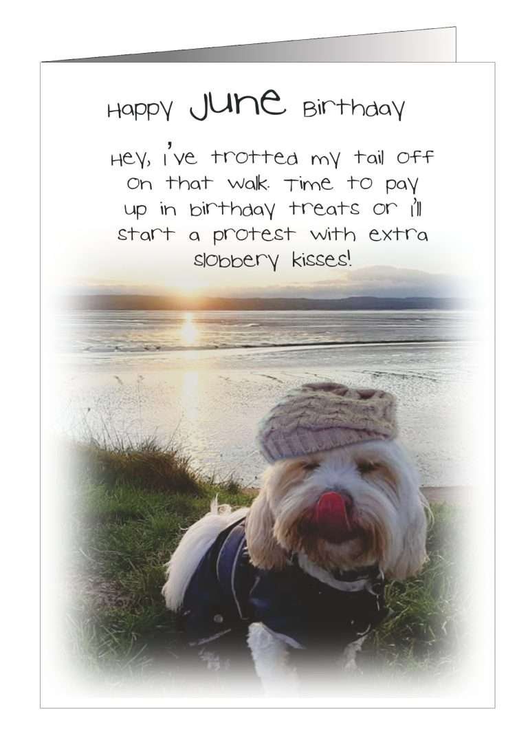 Monthly dog birthday card from Pet Cards UK