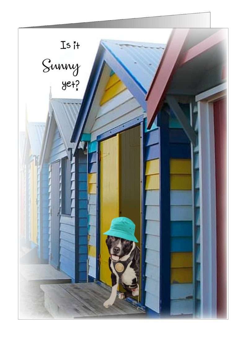 Just Because Dog Greetings Card