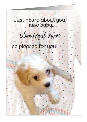 New Baby Dog Card from Pet Cards