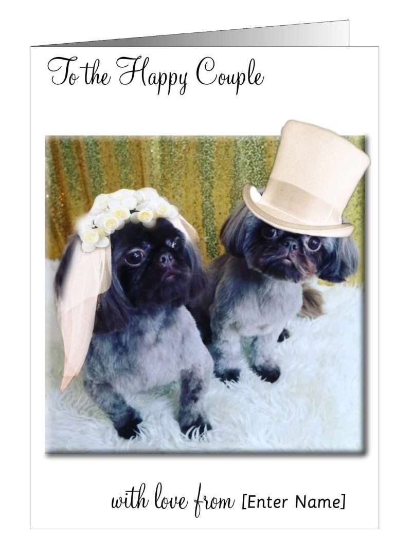 Dog Wedding Greetings Card Dog Wedding Greetings Card